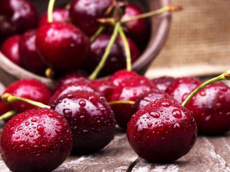 Вишня купить саженцы из питомника в Октябрьском